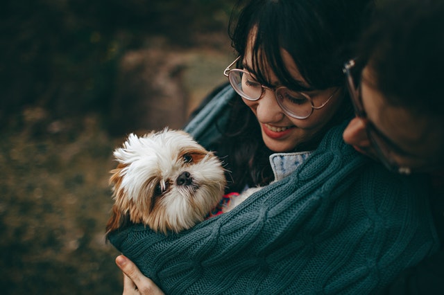 Who Keeps the Pet Following a Divorce? | Highland Law